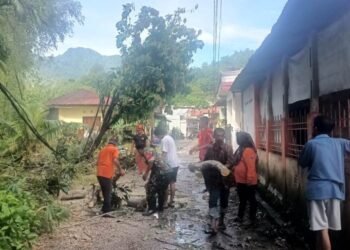 Kabel Listrik dan Rumah Ditimpa Pohon di Padang
