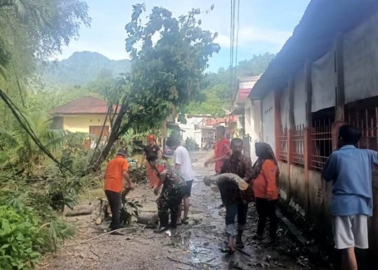 Pohon tumbang menimpa kabel listrik dan sebuah rumah warga di kawasan Perumahan Korem, RT 02 RW 09, Sungai Lareh, Kelurahan Lubuk Minturun, Kecamatan Koto Tangah, Kota Padang, pada Minggu (20/4) sore. BPBD Padang