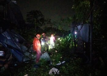 Pohon Tumbang di Padang Timpa Gudang dan Lansia