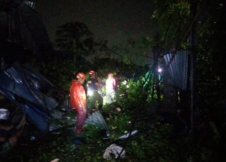 Pohon tumbang di Padang menimpa sebuah gudang dan melukai lansia. (foto: ist).