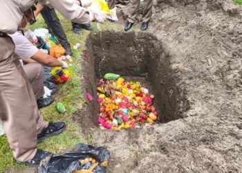 Karantina Sumbar Musnahkan 168,7 Kg Komoditas dari Luar Negeri, Ditemukan di BIM