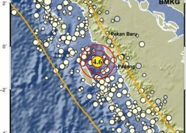 Gempa 4,6M mengguncang sebagian Sumbar pada Jumat (4/4). Gambar: BMKG