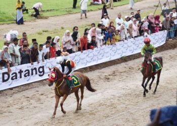 Keseruan Ajang Kejuaraan Pacu Kuda, Wali Kota Pariaman: Menarik Minat Wisatawan Berlibur ke Dua Daerah