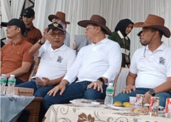Pacu Kuda Bupati Padang Pariaman Cup 2025: Transaksi Capai Rp4 Miliar, Dukung Kebangkitan Ekonomi dan Pariwisata