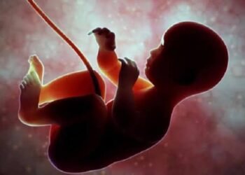 Polisi Tangkap Guru PPPK di Limapuluh Kota yang Aborsi Janin Usia Lima Bulan