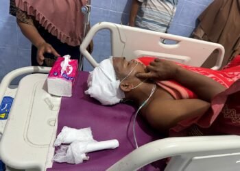 Menjaring Ikan di Sungai, Pria di Pesisir Selatan Diterkam Buaya