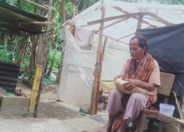 Zainal beraktivitas di gubuk plastiknya di Padang Lariang Tengah, Nagari Tigo Koto Aur Malintang Utara, Kecamatan IV Koto Aur Malintang, Padang Pariaman, Sabtu (26/4). Foto: Rendi Hakimi