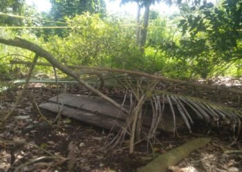 Aborsi Janin 7 Bulan di Padang Pariaman, Pasangan Ini Terancam Mendekam di Penjara