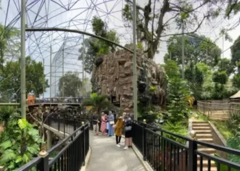 TMSBK Bukittinggi Ramai Pengunjung selama Periode Libur Lebaran 2025