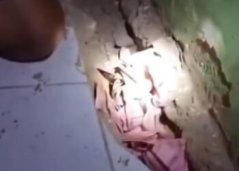 Video: Uang Hasil Panen Gabah Rp22 Juta Dibawa Kabur Tikus, Ditemukan dalam Ubin Rumah