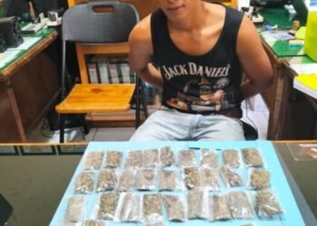 Pengedar di Solok Selatan Simpan 34 Paket Ganja di Rumah