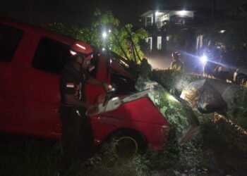 Mobil dan Pagar Rumah Warga di Padang Ditimpa Pohon Tumbang