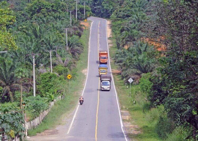Jalan Lintas Sumatera (foto: republika)