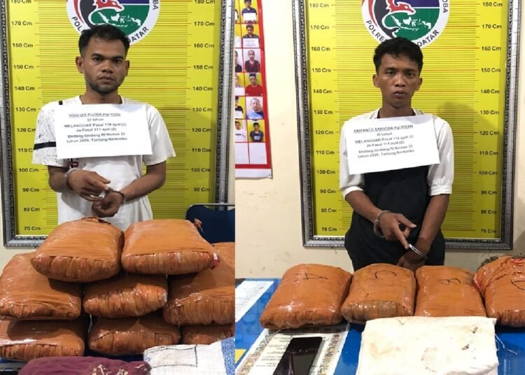 Pelaku dan barang bukti 12 paket ganja diamankan Polres Tanah Datar, Sabtu (26/4).