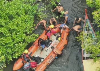 Pencarian Korban Diterkam Buaya di Pasaman Barat Dihentikan Usai Potongan Tubuh Ditemukan