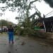Dilanda Angin Kencang dan Hujan Deras, 4 Pohon Tumbang di Padang