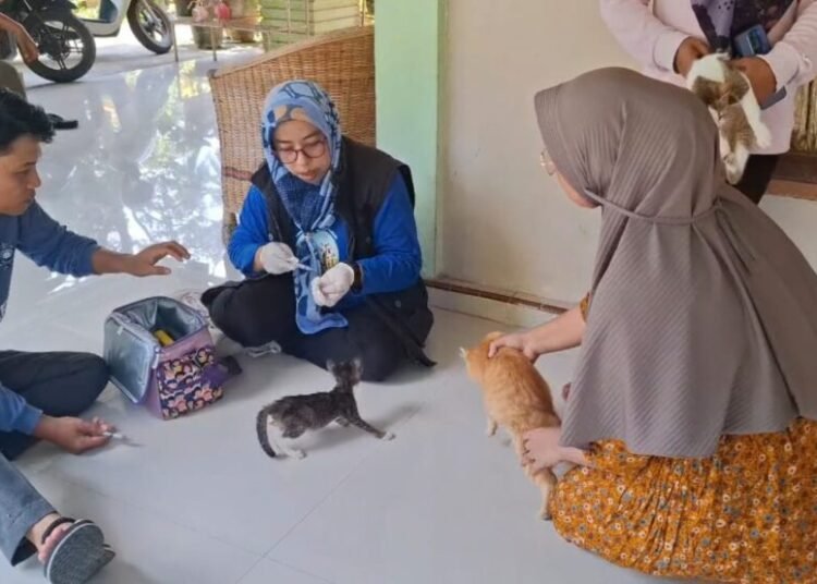 Proses vaksinasi rabies hewan peliharaan di Padang Pariaman. (foto: ist).