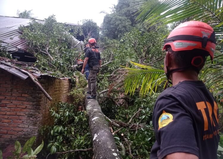 Sebuah pohon menimpa rumah warga di Jalan Ujung Delima VIII, RT 09 RW 08, Kelurahan Kuranji, Kota Padang, Sabtu (10/5) sekitar pukul 17.10 WIB.
