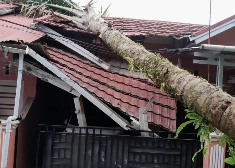 Sebuah pohon menimpa sebuah rumah warga, jaringan kabel listrik, kabel internet (wifi), dan menghambat akses jalan di RT 03 RW 03, Berok Rakik, Kelurahan Kurao Pagang, Kecamatan Nanggalo, Kota Padang, Kamis (15/5) sore.