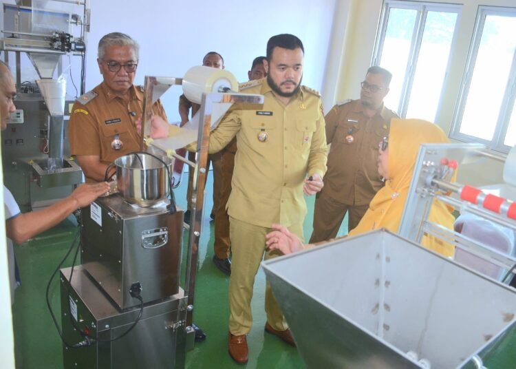 Wali Kota Padang, Fadly Amran, meninjau Sentra Rendang di Lubuk Buaya, Kecamatan Koto Tangah, pada Senin (19/5).