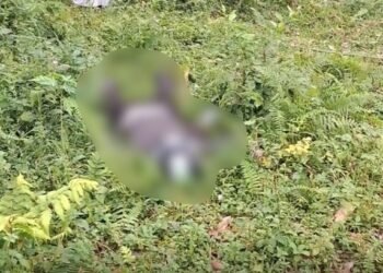 Geger Penemuan Mayat Pria Pakai Helm di Solok Selatan