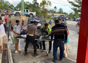 Kecelakaan Maut di Jalur Lintas Sumbar–Riau, Korban 8 Orang