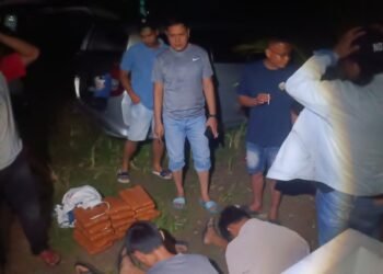 Polisi Gagalkan Peredaran 16 Kg Ganja di Padang Pariaman, Satu Orang Ditangkap