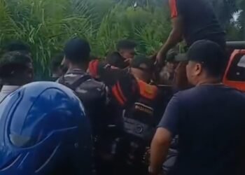 Warga Hilang Diterkam Buaya di Pasaman Barat Ditemukan Meninggal