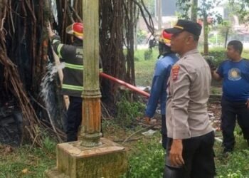 Pohon Beringin di Taman Imam Bonjol Padang Terbakar, Diduga gegara Bakar Sampah