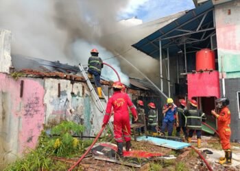 Kebakaran Hanguskan Gudang Kayu di Padang, Kerugian Capai Rp100 Juta