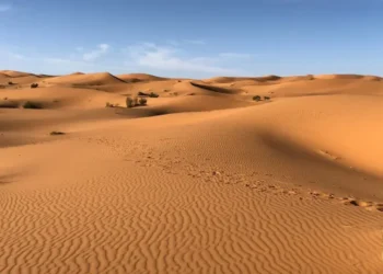 3 WNI Nekat Naik Haji Ilegal Lewat Gurun Pasir, 1 Tewas