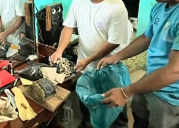 Kepala Dusun di Kepulauan Mentawai Simpan 45 Ganja Siap Edar