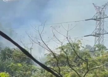 Taman Hutan Raya Bung Hatta di Padang Terbakar