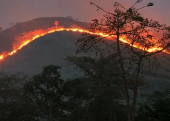 Sumatera Barat Catat Salah Satu Titik Panas Terbanyak di Sumatera