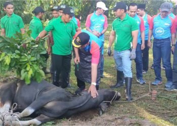 Bank Nagari Sembelih 51 Hewan Kurban di Iduladha 1446 H