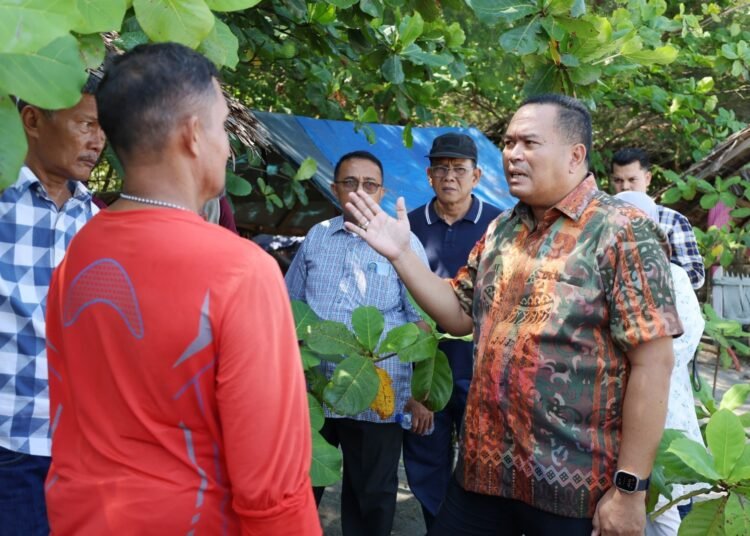 Wali Kota Pariaman, Yota Balad saat meninjau lokasi penempatan alat deteksi tsunami High-Frequency Radar di Pantai Taman Anas Malik. (foto: Pemko Pariaman).
