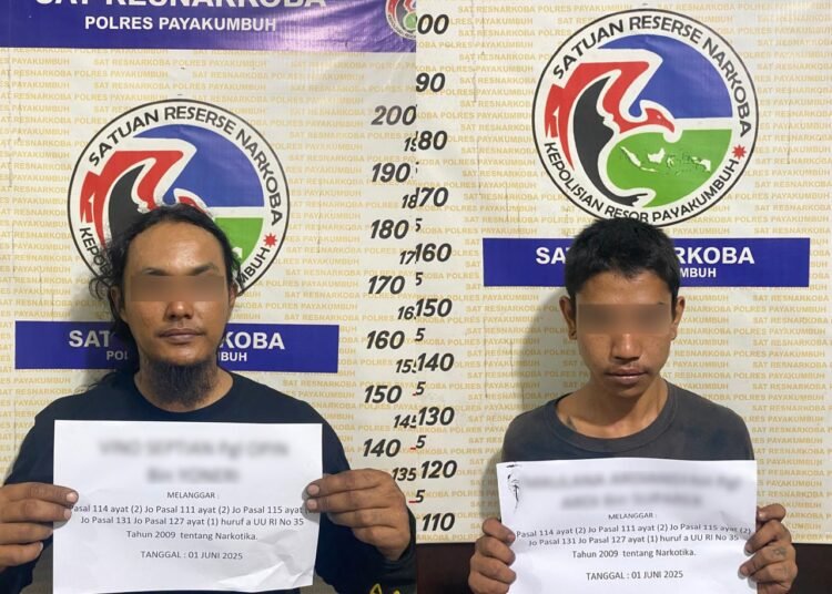 Polisi menangkap dua terduga pengedar ganja di Jalan Sudirman, Kelurahan Ompang Tanah Sirah, Kecamatan Payakumbuh Utara, Payakumbuh, pada Senin (1/6) pukul 00.15 WIB. Foto: Polres Payakumbuh