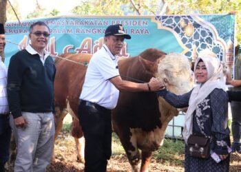 790 Keluarga di Payakumbuh Terima Daging Sapi Bantuan Presiden