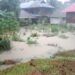 Kepulauan Mentawai Darurat Bencana Banjir dan Longsor Gegara Penebangan Hutan
