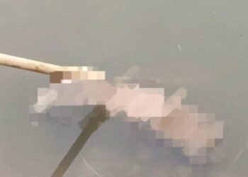 Ngeri, Warga Temukan Potongan Kaki di Padang Pariaman, Diduga Milik Mayat Tak Utuh yang Ditemukan Kemarin