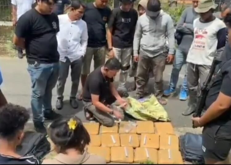 Sebanyak 17 ganja diamankan di Kabupaten Agam. (foto: BNNP Sumbar).