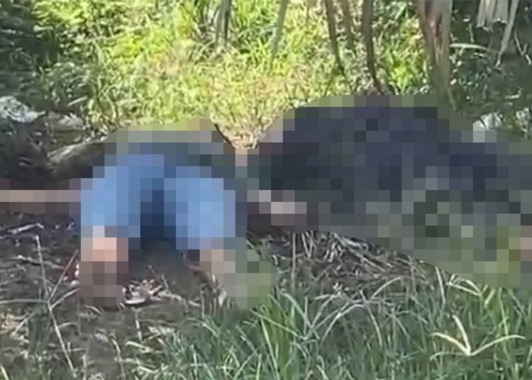 Dua mayat ditemukan di perkebunan sawit di Nagari Abai, Kecamatan Sangir Batang Hari, Solok Selatan, Jumat (20/6) siang.