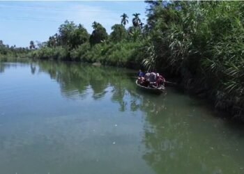 Penemuan Potongan Tubuh di Batang Anai Padang Pariaman Picu Ketakutan, Aktivitas Warga Terganggu