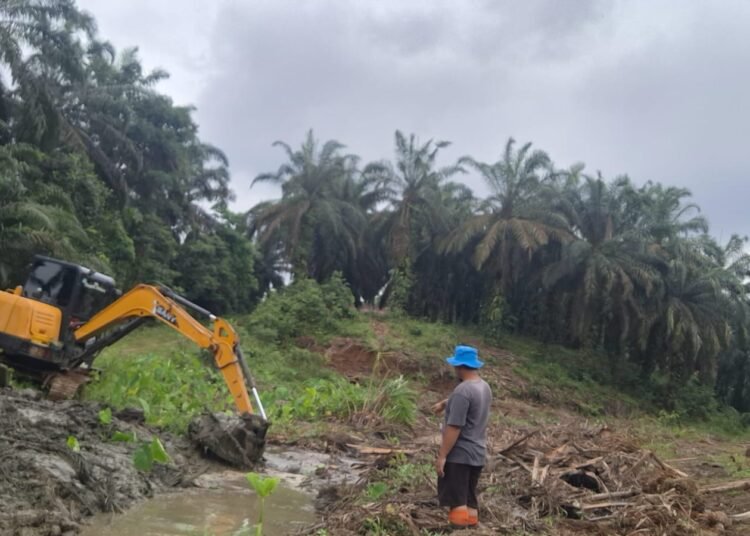 Pelaksanaan Program Peremajaan Sawit Rakyat untuk Kelompok Tani Sumber Rezeki di Jorong Lagan Jaya, Nagari Sipangkur, Kecamatan Tiumang, Dharmasraya.