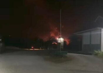 Kebakaran Kandang Ayam di Kabupaten Solok, 15 Ribu Ekor Terbakar Habis