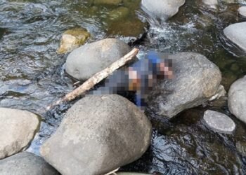 Video: Geger Penemuan Mayat Membusuk di Padang