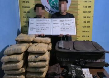 Dua Pria Ditangkap di Pasaman, Bawa 21 Paket Ganja dalam Mobil Innova