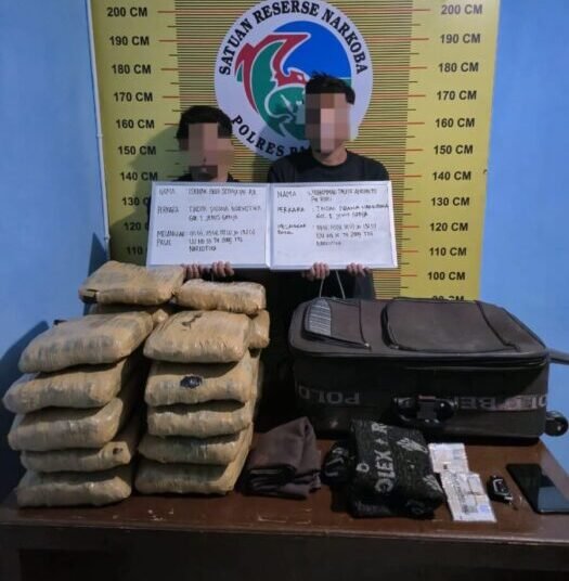 Dua pelaku dan barang bukti 21 paket ganja diamankan di Mapolres Pasaman. IST