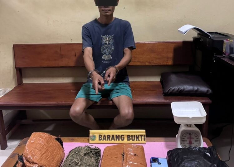 Pelaku dan barang. Foto: Dok. Polres Pasaman Barat