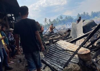 Empat Kandang Ayam Terbakar di Payakumbuh, 8.000 Ayam Terpanggang